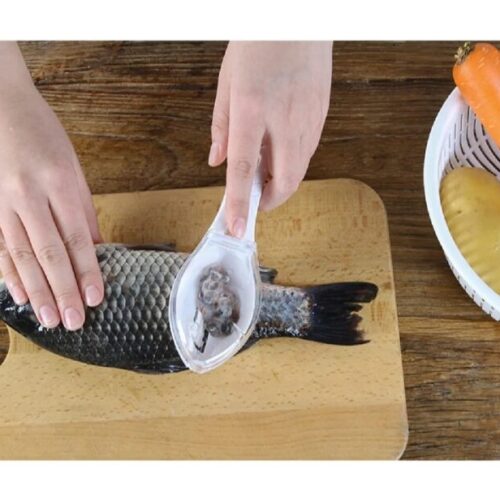 Fish Scale Remover Tool | সহজে মাছের আঁশ পরিষ্কার করার স্মার্ট কিচেন টুল